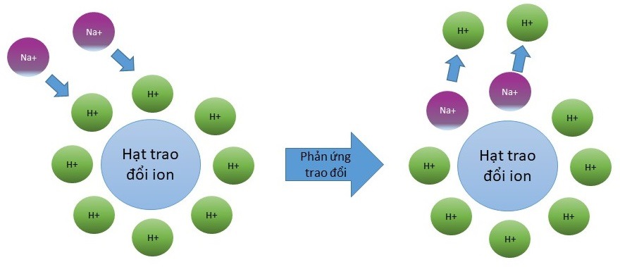 Trao đổi ion là gì: Khám Phá Cách Nâng Cao Chất Lượng Nước